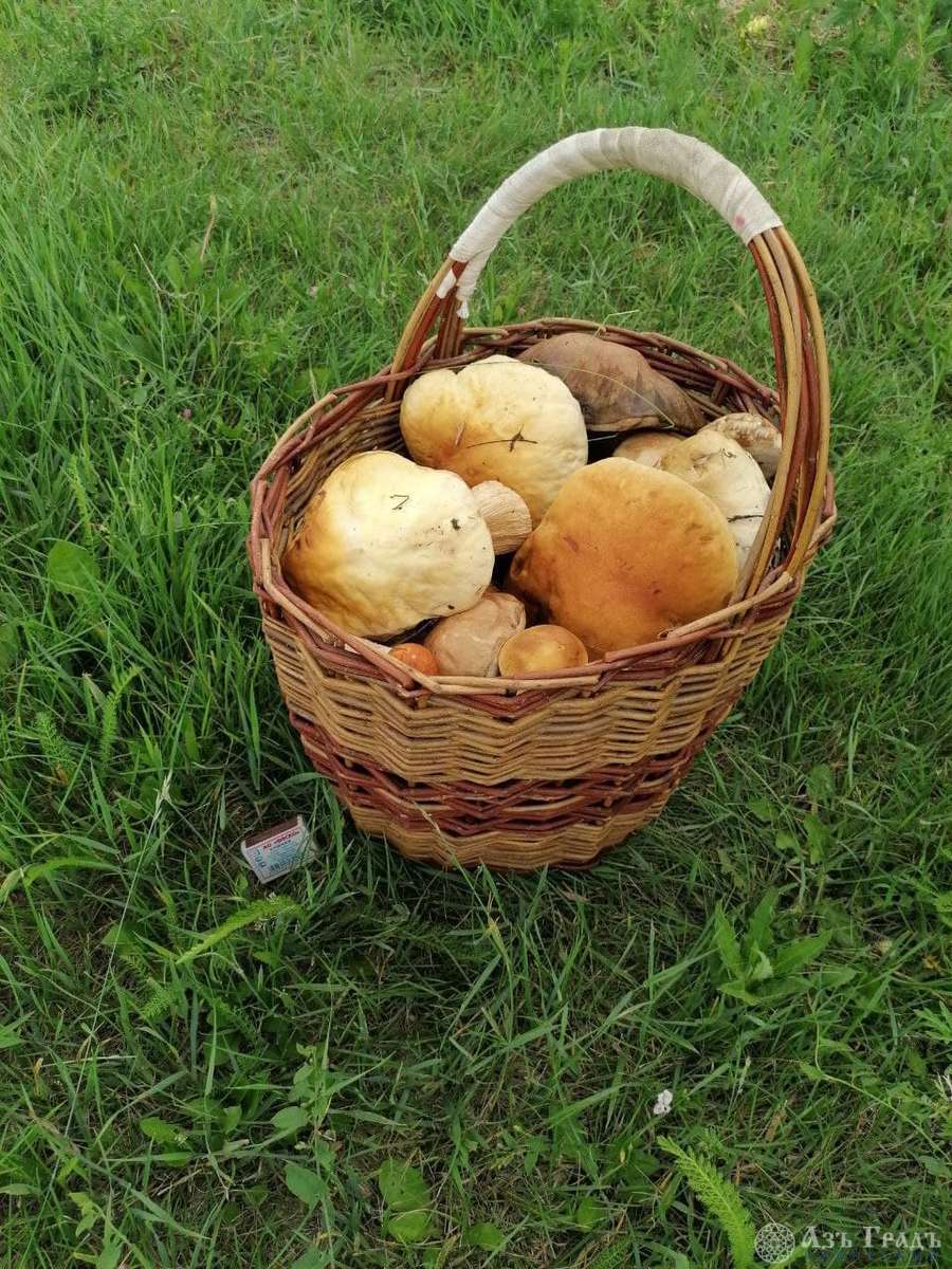 Азъ Градъ итоги