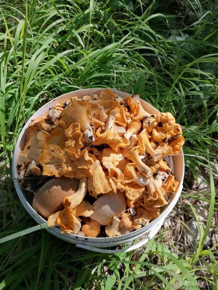 Азъ Градъ итоги