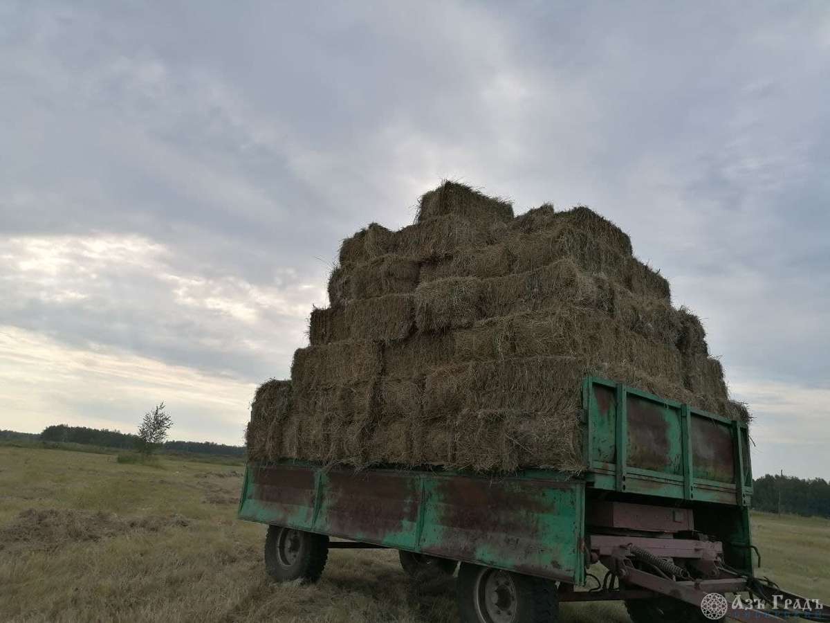 Азъ Градъ итоги