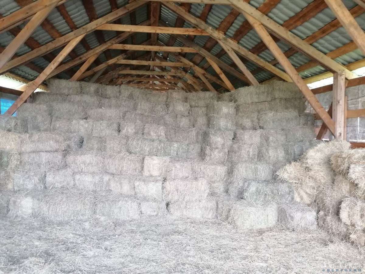 Азъ Градъ итоги