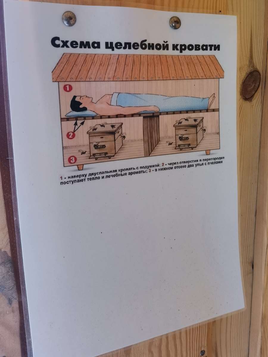 IMG 20250523 134203 3